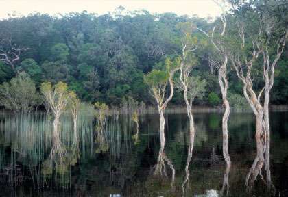 Ponna Lake et le Great Sandy National Park