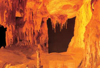 Limestone Coast Naracoorte Caves