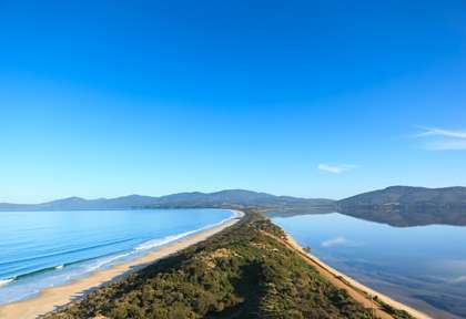 Australie - Tasmanie - Bruny island - The Neck