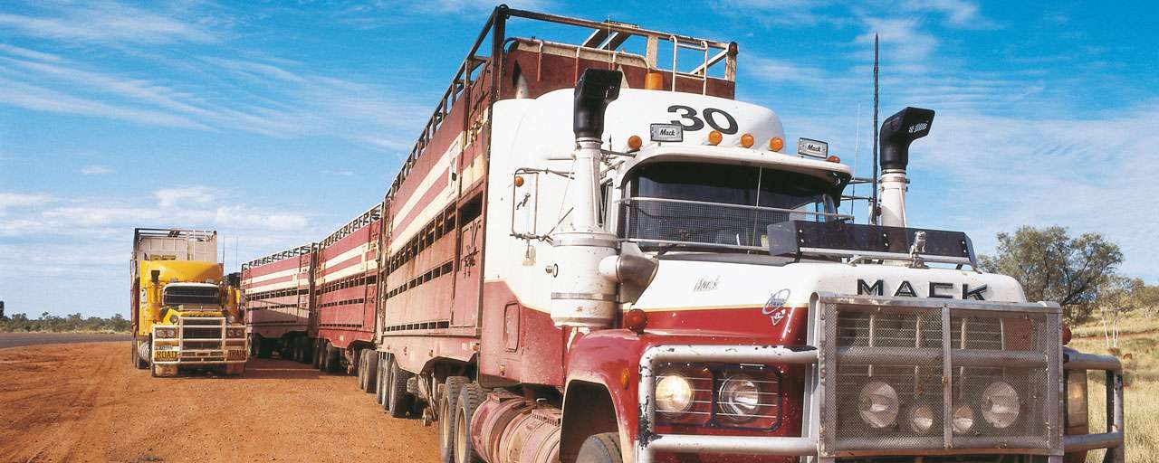 Road Train