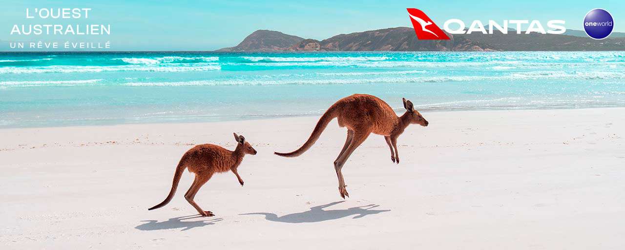 Lucky Bay, Esperance Le Grand Sud