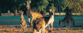 Leeuwin National Park