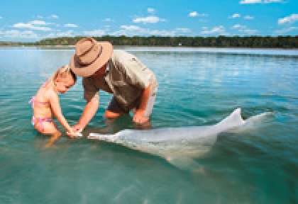 Rencontre avec les dauphins en Australie