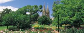 Rose Gardens - Adelaide